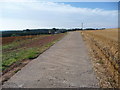 SO6978 : Part of the concrete driveway to Cleobury Lodge Farm by Jeremy Bolwell