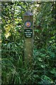 SO9258 : Nature Trail waymarker, Trench Wood near Sale Green by P L Chadwick