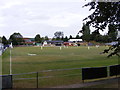 Cricket at the Lye