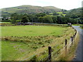 Sheep grazing in a field, Glyntawe