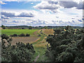 Bridleway down from Sand Hill