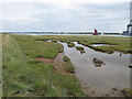 Saltings near Shotley Marina