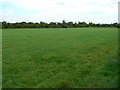 SU0392 : Field near Minety by Brian Robert Marshall