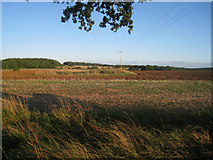 SU5549 : Fields west of Oakley Park by Mr Ignavy