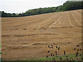 Harvested field by Bagshill Road