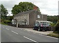 Caemaen semis near Ynyswen, Powys