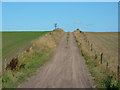 Track to Carlton Forest Farm