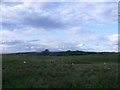 Wester Jawcraig, rough grazing