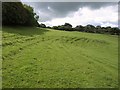 Terracettes near Cheddar