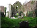 C2518 : Interior, Killydonnell Friary by Kenneth  Allen