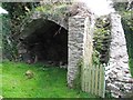 C2518 : Arched roof, Killydonnell Friary by Kenneth  Allen