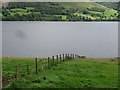 Grassland above Loch Tay