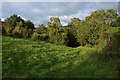 Grassland and woods above Cheddar