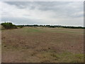 SO8398 : Farmland off Moor Lane, Great Moor by Richard Law