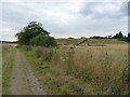 Bridleway below Little Moor