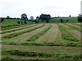 Hay field west of Herons Road