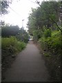 Footpath under Bridge BRB SHI-30 - Ballantyne Road