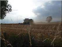 SO4274 : Combine harvesting on an August evening by Jeremy Bolwell