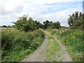 A track on Ely Moor