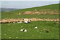 Farmland at Corsehill