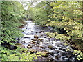 River Tawe flows towards Pont rhyd-arw, Penycae