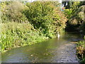 Butchers Brook,  Wilton