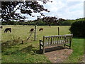 On the path from Nately Road to Greywell Church (3)