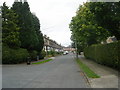 Pellon Terrace - viewed from Harper Avenue