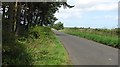 NU2024 : A road passing Allansford Plantation by Richard Webb