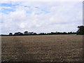 Footpath to the A1120 & bridleway to Bedfield Road