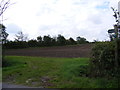 Bridleway to Bedfield Road & the footpath to the A1120