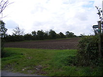 TM2464 : Bridleway to Bedfield Road & the footpath to the A1120 by Geographer