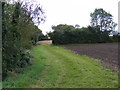 Bridleway to Bedfield Road & the footpath to the A1120