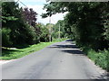 Minor road at Buckham Hill, East Sussex