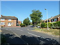 A summer morning in Gainsborough Mews