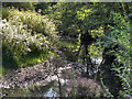 Lady Brook at Happy Valley