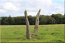 NR8396 : Ballymeanoch standing stones by Bob Embleton