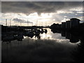 River Ely soon after sunrise