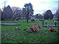 Flowerbeds in Roundwood Park