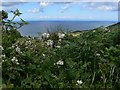 Coastal view at Red Wharf Bay