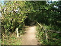 Footpath, Ulley Country Park