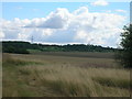 Farmland, Cumwell Fields