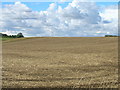 SK5495 : Farmland off Cockhill Lane by JThomas
