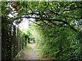 SE2611 : Footpath at the edge of Clayton West by Christine Johnstone