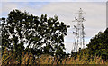 Pylon and power lines, Lisburn (1)