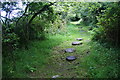 Boggy bit on the path to Kilkiffeth