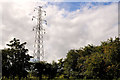 Pylon and power lines, Lisburn (3)