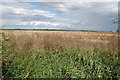 TR0525 : Grassland near Chapel Land Farm by Julian P Guffogg