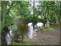 Ford and stepping stones across Waskerley Beck