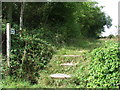 Footpath And Steps